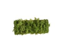 Lampada Da Parete LED Up Down 3000 K 32 Cm Larga Muschio Reale Interno [EEK: E]