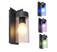 Lampada da parete per esterni dimmerabile con telecomando Lampada da porta d'ingresso antracite Lampada da parete a LED Luce di facciata, cambio colore RGB, 4,8W 470lm bianco caldo, LxH 8,9 x 25 cm