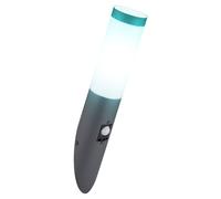 Lampada da parete REMOTE CONTROL torcia da giardino in acciaio inox dimmerabile in un set di lampadine LED RGB