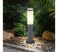 Lampada da Percorso Piantana Cortile Sensore di Movimento Presa Chiodi