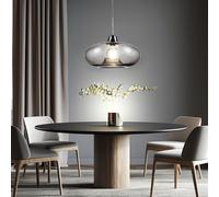Lampada Da Pranzo Pendente Ovale Cucina E27 Vetro Fumè Nichel Opaco [EEK: Non valutato]