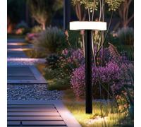 Lampada da sentiero da giardino per esterno lampada da esterno lampada da terra con picchetto luce solare a batteria, plastica, nero opale, 1x LED, PxH 15,3x56,1 cm