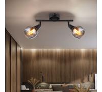 Lampada Da Soffitto 2 Fiamme Sfera Di Vetro Fumè Nero Opaco [EEK: Inaditato]