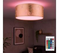 Lampada Da Soffitto Dimmerabile Con Telecomando E14 RGB LED [EEK: F]