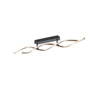 Paul Neuhaus Polina lampada a soffitto LED, 3000 K, 2 x 10 W La: 110 A: 15,6 P: 8 cm, 9143-18, Polina [Lampade per Interni > Lampade a Soffitto]