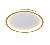 Lampada da soffitto Moderna e Semplice in Alluminio Dorato Regolabile Bianco/Neutro/Caldo Lampada ad Alta trasmittanza Striscia in Gomma siliconica Apparecchi di Illuminazione Domestica Xiao