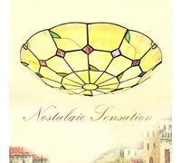 Lampada da soffitto Tiffany Camera da letto Stile rurale vintage, Plafoniera Lampada da soggiorno con paralume vetro rotondo stile pastorale mediterraneo Illuminazione da soffitto interni balcone,40cm