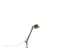 Lampada da Tavolo Dedicate S1 Con Perno Marrone Verde