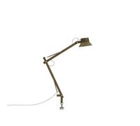 Lampada da Tavolo Dedicate S2 con Perno Marrone Verde