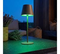 Lampada da Tavolo Esterni Giardino Braun Batteria Touch Dimmer Cambio LED 38 CM [EEK: Inaditato]
