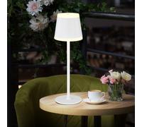 Lampada da tavolo lampada da tavolo per esterni LED bianco touch dimmer batteria ricaricabile lampada da giardino dimmerabile USB, metallo acrilico, 2x LED bianco caldo, DxH 11x38,5 cm