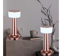 Lampada Da Tavolo LED Regolatore Touch Batteria Lampada Lato Rame H 21,5 CM 2x