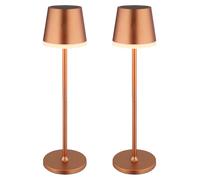 Lampada da tavolo luce solare LED da esterno champagne luce da giardino ricaricabile lampada da patio, metallo plastica satinata, resistente agli spruzzi, bianco caldo, H 41 cm, set di 2
