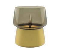 LAMPADA DA TAVOLO TENDERFLAME Candela ricaricabile con combustibile Amaryllis 14 Toned Glass Gold Champagne