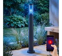 Lampada da terra lampada da terra in acciaio inox fumo antracite piantana da esterno giardino, controllo tramite app dimmerabile, 1x Smart RGB LED 10W 806Lm bianco caldo, DxH 7.6x80 cm
