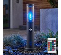 Lampada Da Terra Esterno RGB LED Con Telecomando E Sensore Di Movimento