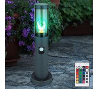 Lampada Da Terra Esterno RGB LED Con Telecomando E Sensore Di Movimento [EEK: F]