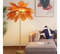 Lampada da terra /in piuma di struzzo naturale piantana per arredamento camera letto ragazza, luce terra con finitura oro, luce d'atmosfera 3 temperature colore con interruttore pedale (arancia )