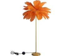Lampada da Terra in Piume di Struzzoh160cm Lampada da Terra A LED Unica, Elegante Lampada da Terra in Piuma di Struzzo Naturale con Interruttore A Pedale, Lampada da Terra in Piuma, Orange