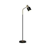 Lampada da terra Lampada da terra in ferro con interruttore a pedale e paralume per vernice da forno Lampada da lettura regolabile a LED in metallo per soggiorno Lampada da terra (Color : Noir Size :