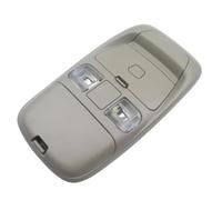 Lampada Di Lettura Della Mappa A Cupola Per Console Superiore SN96TL2AA Per Dodge Ram 1500 2500 3500 4500 5500 1991-2001 Accessori Per l'illuminazione