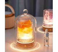 Lampada di sale dell'Himalaya 2 in 1 e diffusore di oli essenziali ad ultrasuoni, luce per aromaterapia senza fuoco, con 2 oli essenziali, aromaterapia, ricarica USB in 3 colori, con copertura in