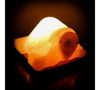 Lampada di Sale Himalayano Rosa naturale a forma di Tartaruga 3-4Kg