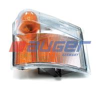 Lampada Di Segnale Adatta Per DAF, SCANIA