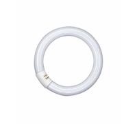 Osram Tubi fluorescenti T9 L 40W 840 C G10q forma ad anello Lumilux Cool White [EEK: A]
