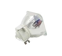 Lampada for proiettore NP17LP con alloggiamento for N-EC M300WS M350xS M420X NP-P350W NP-P420X P350W P420X UM330W UM330Wi2-WVK UM330X UM330Xi2-WK(BRE Lamp)