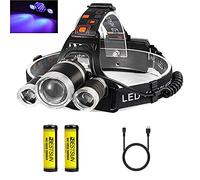Lampada frontale UV, Torcia frontale Blacklight Ricaricabile con luce ultravioletta 395-400nm per l'arte, pesca notturna, cani da roccia, scorpioni, macchie di urina da compagnia, gioielli