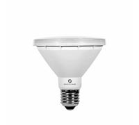 LAMPADA LED BENEITO FAURE FARETTO PAR 30 10W E27 R-LINE 3000K LUCE CALDA
