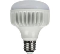 Lampada LED Daylight StudioKing 25W E27 FLED-25