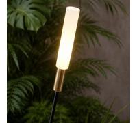 Lampada led decorativa a picchetto da giardino 24V 0.5W 4000k 60 90 120 cm IP65 [EEK: E]
