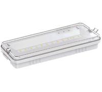 Lampada LED d'emergenza 2W 6500K luce fredda