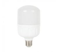 Lampada LED E27 Alta Potenza 24W, T100