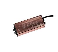 Lampada LED impermeabile driver potenza integrata lampada a pannello piatto lampada da soffitto trasformatore alimentatore 8W12W18W24W(Waterproof female connector 36 42W)
