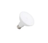 Lampada LED PAR30 12W 110° Colore Bianco Freddo 6.000K