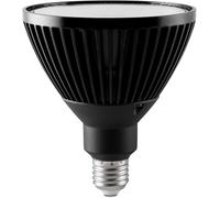 LED PAR38 20W 6000K 45DEGREES