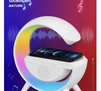 Lampada LED RGB con Ricarica Wireless Bluetooth Speaker Ricaricabile Radio FM SD [EEK: A+++]