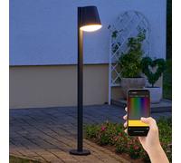 Lampada Luce Esterna da Percorso Balcone Giardino IP44 Timer Guida Vocale 1x LED