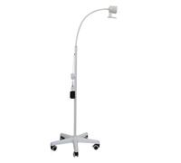 Lampada Medica da Pavimento per Visita ginecologica chirurgica, Rotazione a 360°, 7 W per Animali Domestici con Base Girevole a 5 Ruote, dimmerabile, per chirurgia, Animali Domestici, chirurgia