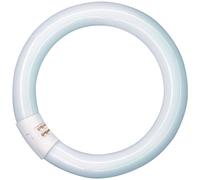 Lampada Neon Fluorescente Lumilux Circolare Osram 40W Osram Materiale elettrico