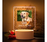 Lampada notturna a LED in acrilico 3D con immagine di cane animale personalizzato, per uomini, donne, mamma, papà, ragazzi, ragazze, animali domestici, regalo commemorativo (design G)