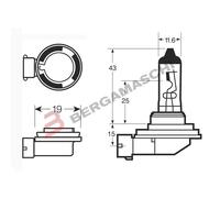 LAMPADA OSRAM H11B 12V 55W ATTACCO PGJY/19-2