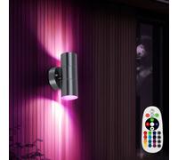 Lampada Parete da Esternaa RGB LED Telecomando Dimmerabile Acciaio Inox Grigio [EEK: F]
