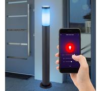 Lampada Parete Esterna Piantana Smart LED Sensore di Movimento Alexa da Giardino [EEK: G]