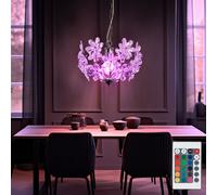 Lampada Pendente Lampada Sala Pranzo Telecomando Dimmerabile 1 Fiamma RGB LED [EEK: F]