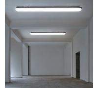 Lampada per Ambienti Umidi Plafoniera Luce da Vasca LED Cantina Bianco Neutro 2x [EEK: E]
