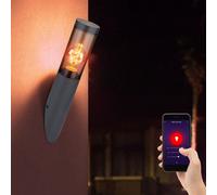 Lampada per Esterni Fiaccola Parete Smart RGB LED Cct App Acciaio Inox Antracite [EEK: F]